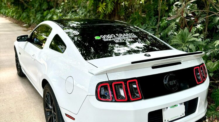 Ford Mustang GT 5.0 2014