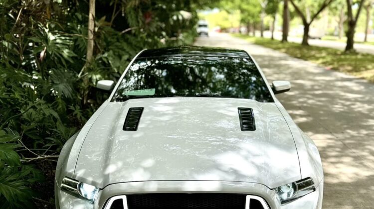 Ford Mustang GT 5.0 2014