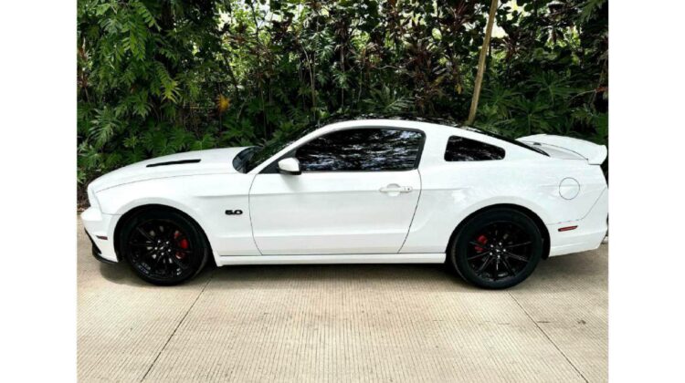 Ford Mustang GT 5.0 2014