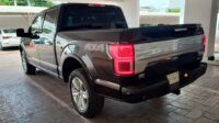 Ford Lobo Platinum 4×4 2020