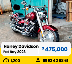 abc-harley-davidson-fat-boy-2023-top